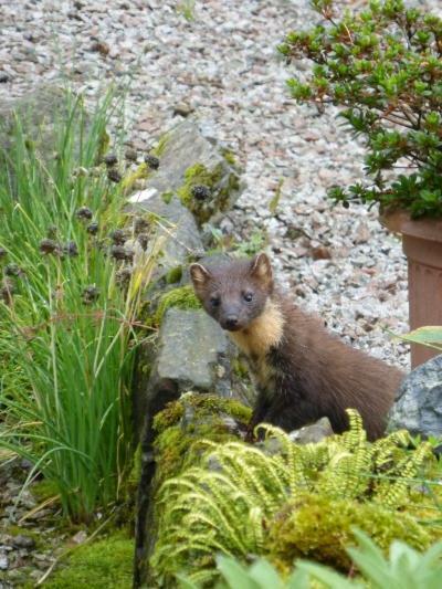 Dunchraigaig House Bed & Breakfast Kilmartin Luaran gambar